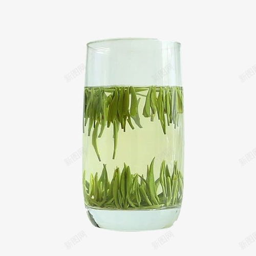 竹葉青茶 鮮活草本滋補，至美容顏的綠茶之選