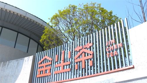 安順經開區 打造新中式茶飲新風尚，賦能茶葉產業升級